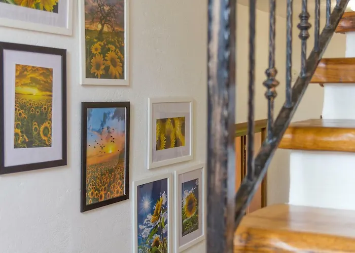 Sole * Svetvinčenat